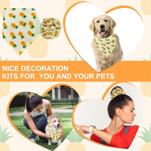 Juego De Bandana Y Coletero Para Perro, 2 Piezas De Algodón