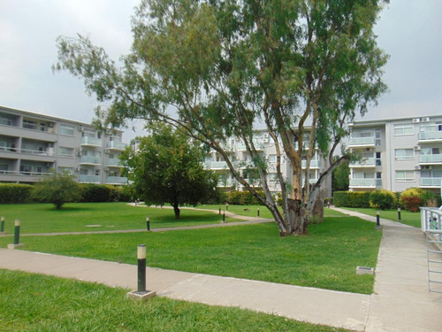 Imagen 28 de 30 de Departamento - La Mora