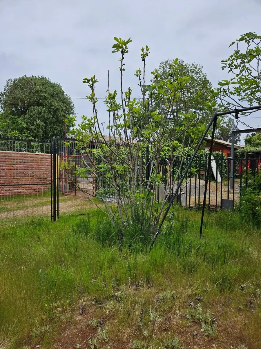 Imagen 3 de 22 de Se Vende Linda Casa, El Quisco