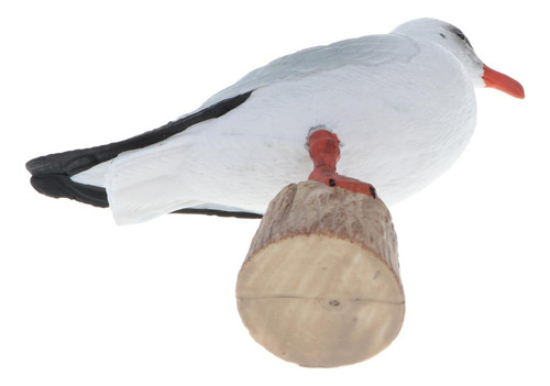 Figuras De Modelo De Gaviota De Cabeza Negra