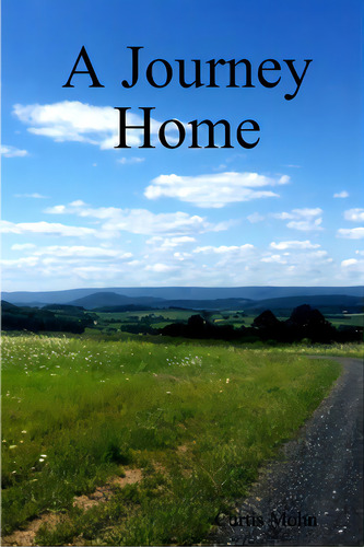 A Journey Home, De Mohn, Curtis. Editorial Lulu Pr, Tapa Blanda En Inglés