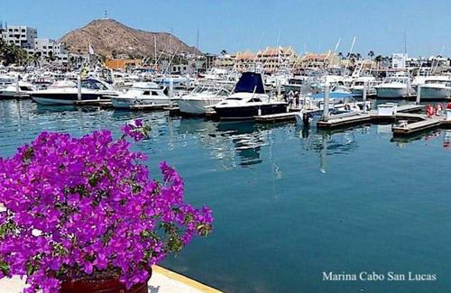 Departamento Con Jardín, Alberca Privada, Pre-construcción, El Tezal, Cabo San Lucas
