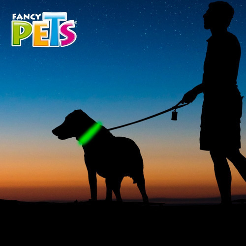 Collar Luz Led Reflejante Mediano Perro Verde Fancy Pets