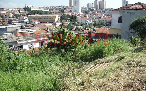 Imagem 4 de 8 de Terreno Em Tucuruvi - São Paulo, Sp - 85961