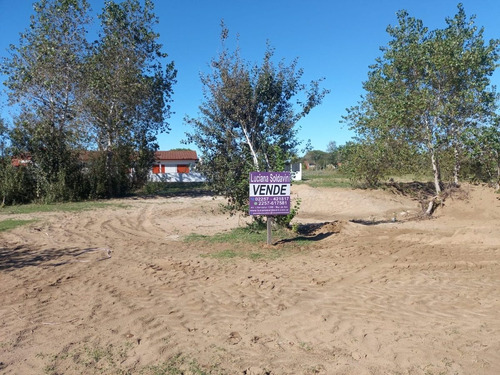 Imagen 3 de 6 de Lote En Venta (211)