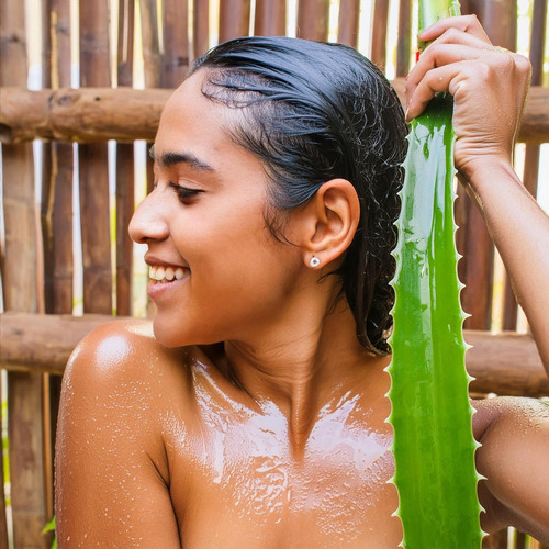 Shampoo Hotelero Hecho De Esencias De Aloe Vera/5 Litros