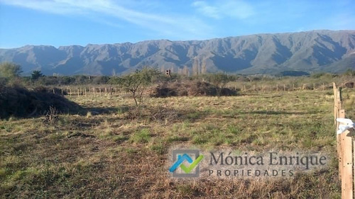 Lote De 2000m2 En Cerro De Oro, Villa De Merlo Acceso Por Granadilla