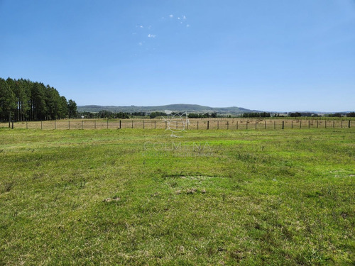 Imagen 8 de 30 de Chacra 5 Hs Con 2 Casas - Consulte !!! - Zona Rural Zona Rural