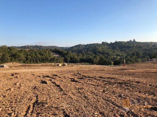 Imagem 2 de 22 de Terreno À Venda, 300 M² Por R$ 99.000,00 - São Giácomo - Caxias Do Sul/rs - Te0210