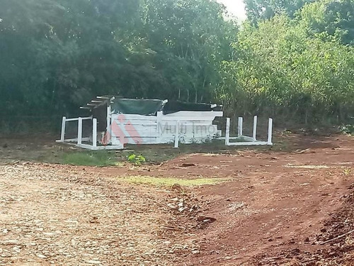 Imagem 13 de 14 de Oportunidade Sítio Criação Frangos Ibiporã - Mi265