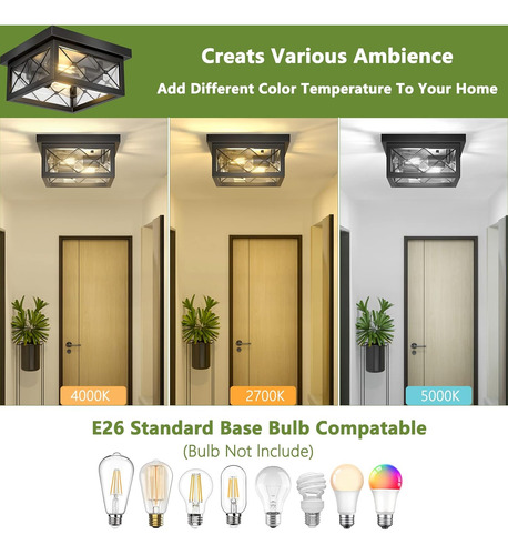 Lámpara De Techo Estilo Casa De Campo 2 Luces Negras Con Pan