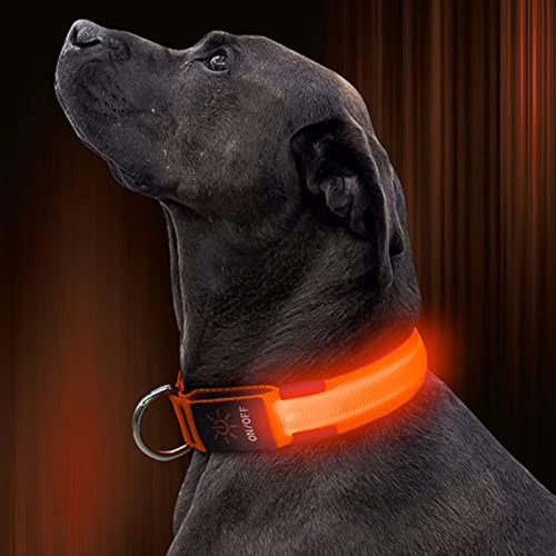 Illumifun Led Dog Collar, Usb Recargable Ajustable Glowing P