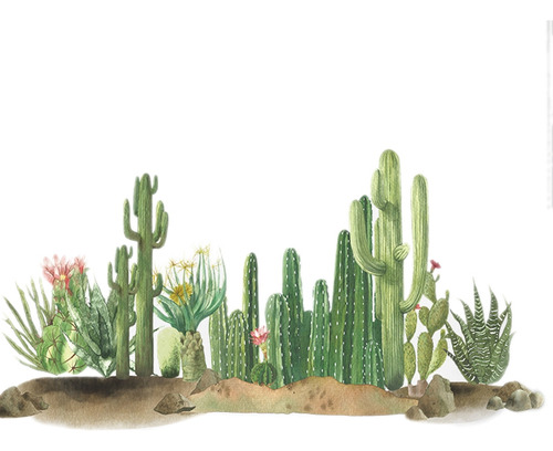 Adhesivos De Pared Con Diseño De Cactus Del Desierto Para Sa