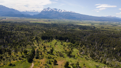 Campo En Venta De 310 Has En Los Cipreses.