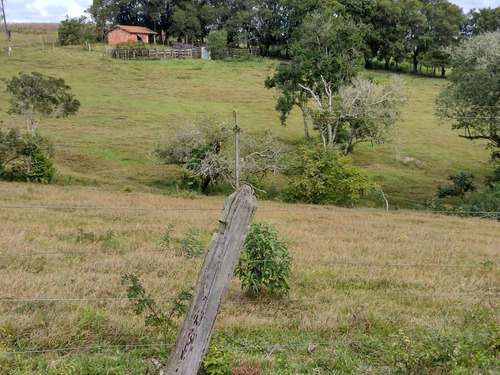 Imagem 13 de 13 de Chácara 1,5 Alqueires Não Tem Casa Só Terra,400mts Do Asfalto,localização Nobre,agua Cristalina Nascente,27 Kms Do Centro De Itapetininga - Ch00082 - 69505785