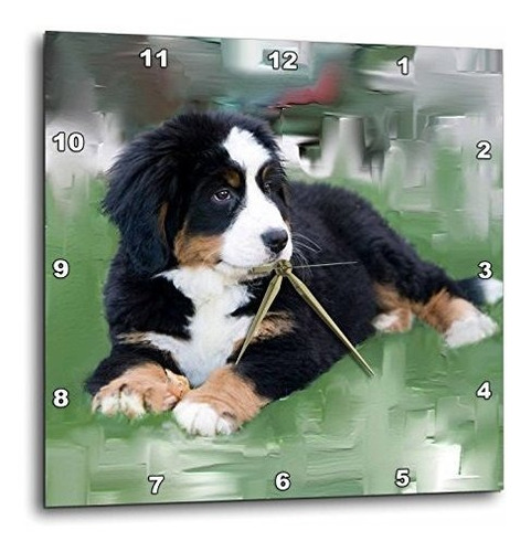 Dpp 4038 Reloj De Pared 2 Perro De Montaña Bernese 13 ...