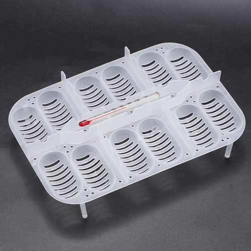 Incubadora De Huevos De Reptiles, Lagartos Serpientes Caja D