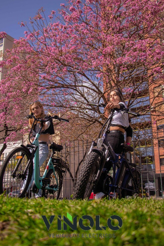 Imagen 1 de 18 de Bicicleta Electrica Viñolo Vehiculos Electricos /m