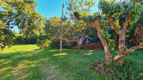 Imagem 20 de 20 de Ótima Oportunidade De Investimento: Terreno No Bairro Itoupava Norte, Medindo 4.979,96 M², Totalmente Plano, E Ainda Com Duas Casas. Zona Residencial 1 (zr1). - 35712107v