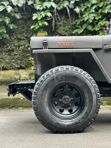Jeep Willys Carpado
