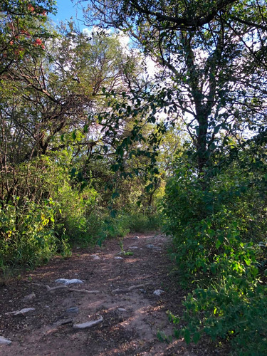 Imagen 11 de 14 de Lote De 3560m2 - Las Chacras - Villa De Las Rosas / Trasla