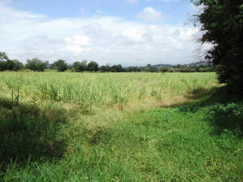 Imagen 7 de 10 de Venta Terreno Centro De Emiliano Zapata