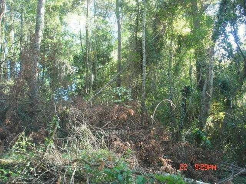 Imagen 11 de 13 de Camino Nonguen S / N , Sector Reserva De Nonguen Concepción