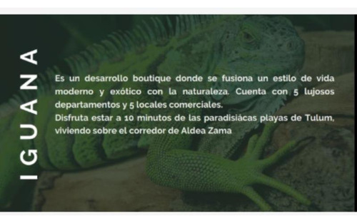 Local En Venta En Iguana