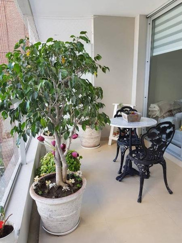 Imagen 7 de 30 de Venta - 4 Ambientes Con Dependencia Y Cochera - Belgrano