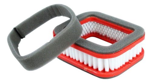 Filtro De Aire Para Bailarina Motor 4hp Loncin Lc165f V&d