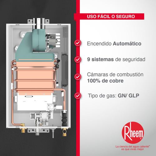 Calentador Para Jacuzzi 16lt Gas Propano Tiro Forzado Rheem