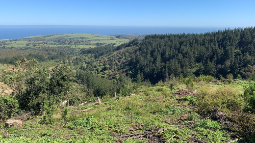 Imagen 6 de 14 de Quincheumo, Mejor Proyecto De La Zona Topocalma Pichilemu