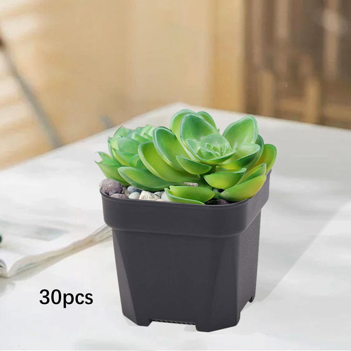 30 Piezas De De Vivería De Con Agujeros 6.5cmx5.4cm Negro