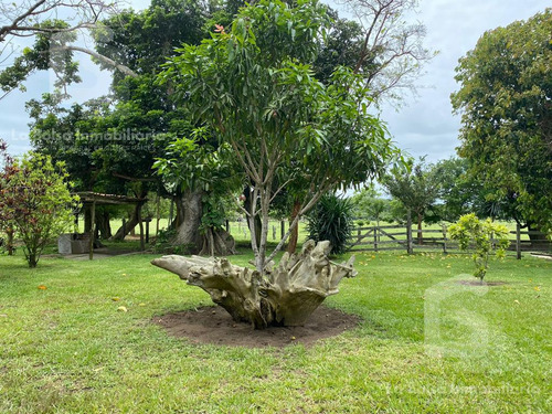 Terreno En Venta En Finca Real En Costa Esmeralda Veracruz