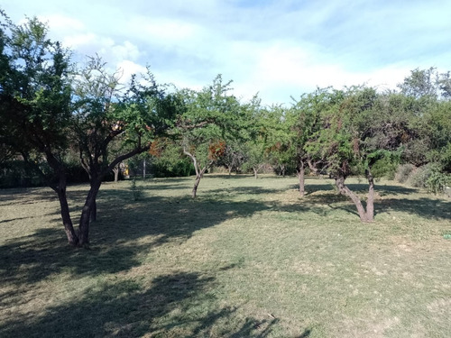 Venta De Lote Ideal, Bº Nuevo Merlo, Con Gas Natural.