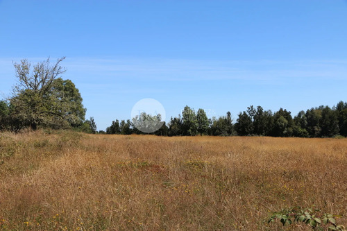 20950 - Campo En La Vara-alerce