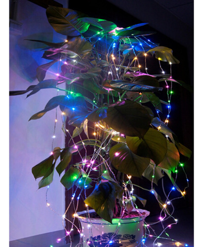 3x Fio Fada 5m 50 Leds Decoração Luz Natal Pisca Pisca Pilha Cor das luzes Colorido