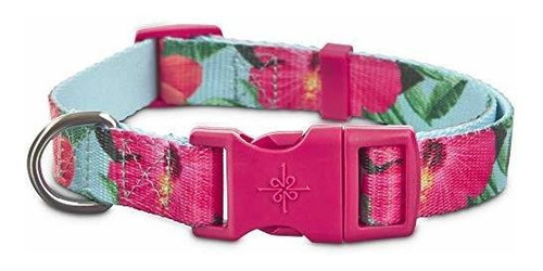 Petco Brand - El Colar De Perros Jet-setter Hibiscus, 61djv