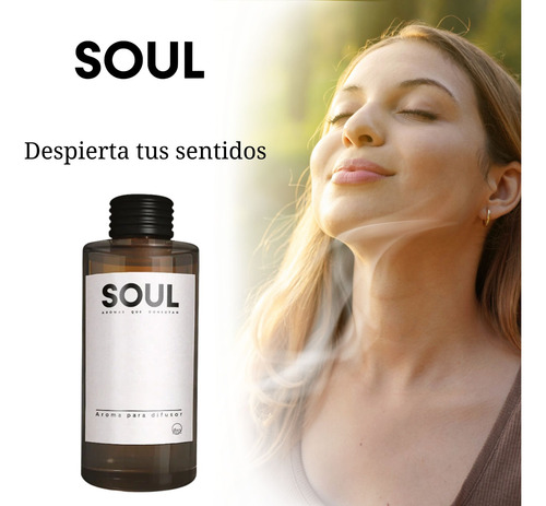 Aceite Esencial Soul Aroma B Rouge 100 Ml