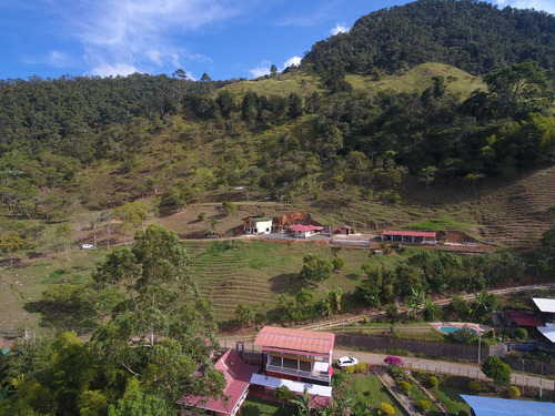 Felidia, 34 Héctareas, Finca Ganadera