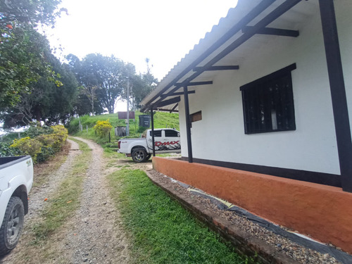 Se Vende Finca Ganadera Filandia Quindío 