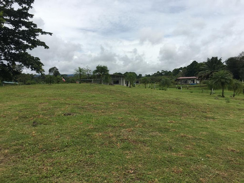 Imagen 10 de 18 de Quintas De 5000 M2 En Sarapiquí Con Y Sin Construcción Desde 25 Millones De Colones