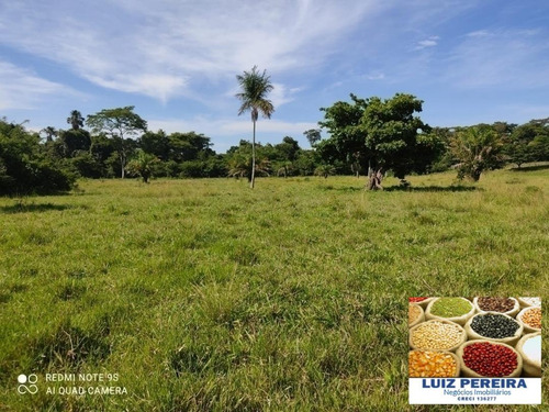 Fazenda À Venda Em Duere - To - De 60 Alqueirões (pecuária) - 1584