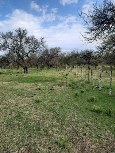 Imagen 9 de 12 de Campo En Venta, Costa Uruguay Sur 0