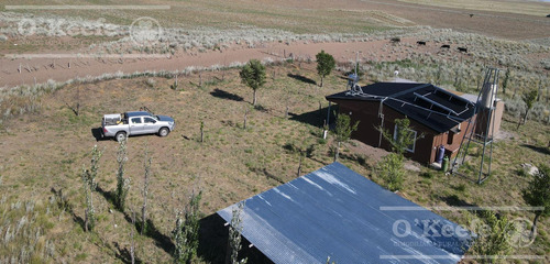 Campo En Venta De 27950 Has En Gral Alvear Mendoza. Armada Para Cria/recria