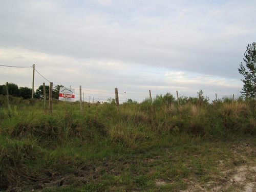 Imagen 7 de 18 de Campo Pegado A Tala, 22 Hás