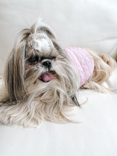 Imagen 3 de 4 de Chaleco Rosa Acolchado Para Perritos Pequeños