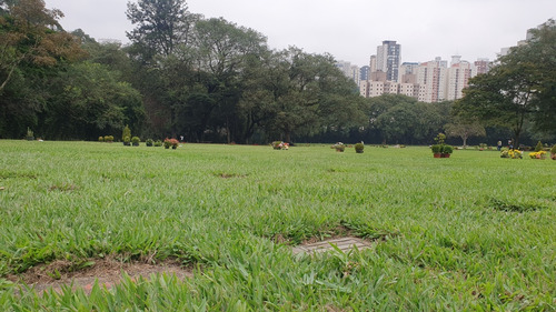 Cemitério Morumby - Jazigo Vazio Com 3 Gavetas - Área Nobre