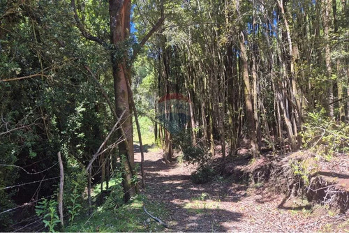 Venta Parcela C/ Acceso A Lago San Antonio Chiloe
