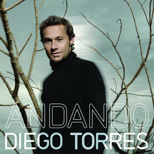Cd Diego Torres Andando Sellado Open Music Sy